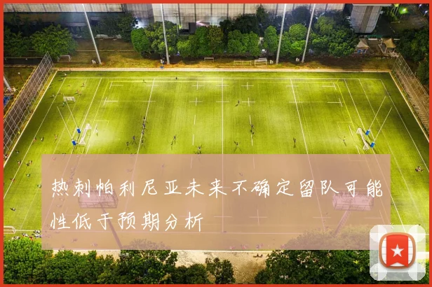 热刺帕利尼亚未来不确定留队可能性低于预期分析