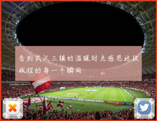 告别武汉三镇的温暖时光感恩这段旅程的每一个瞬间