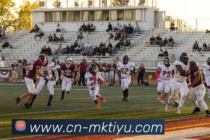 MK体育平台生态图